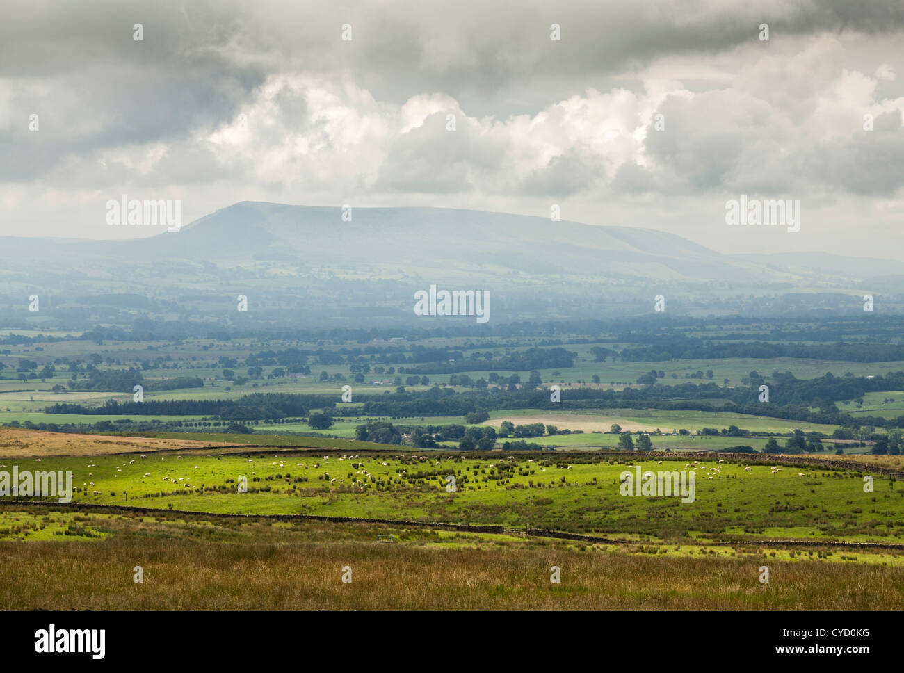Distant view of Pendle Hill from the Airton to Settle road, North Yorkshire. Stock Photo