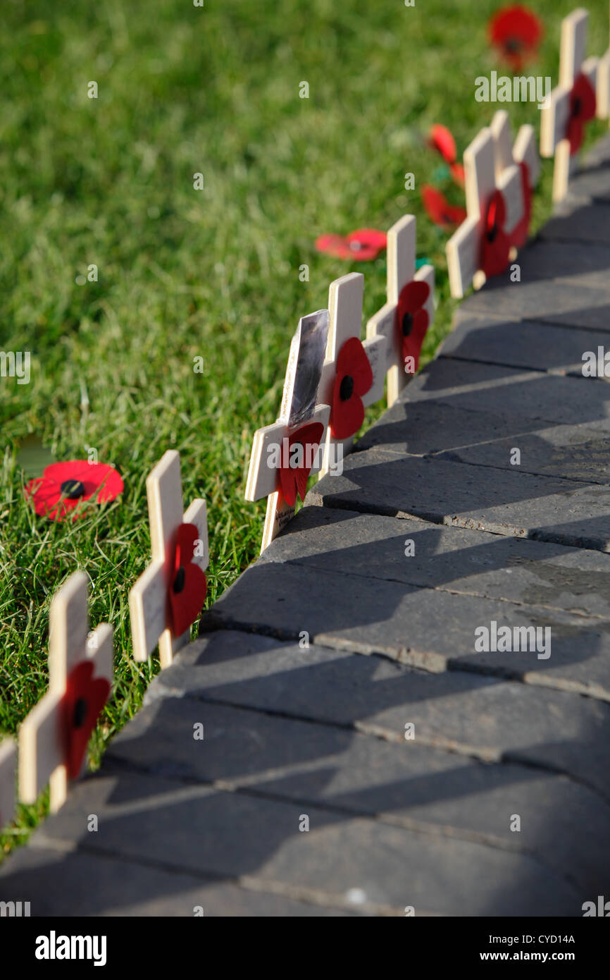 Wooden crosses with poppies.Remembering fallen service personnel. Stock Photo
