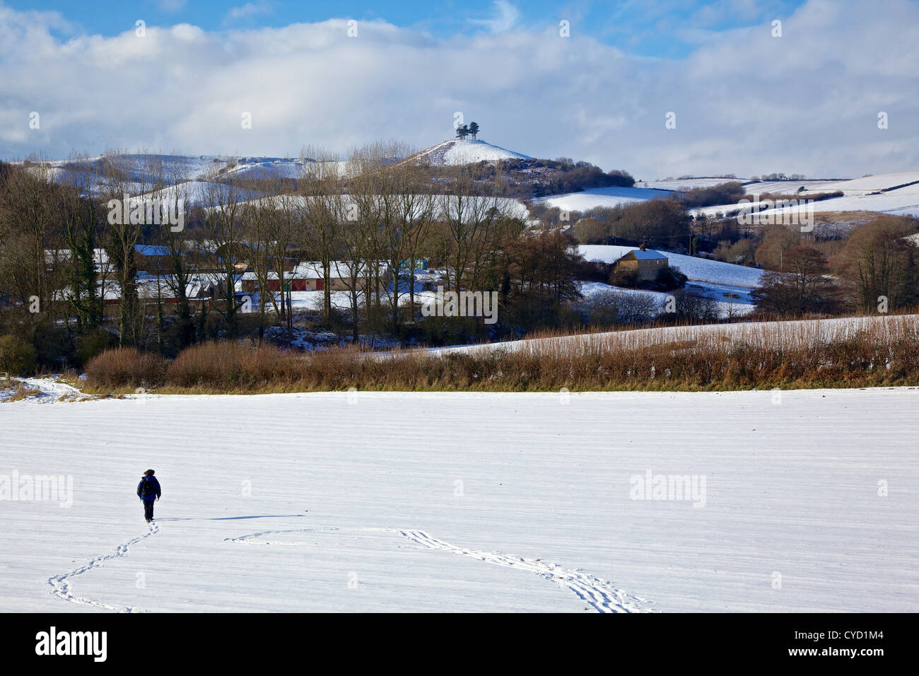 A hiker walks towards Colmer's Hill, in the unusually heavy snowfall that affected West Dorset.  Bridport, Dorset, UK Stock Photo