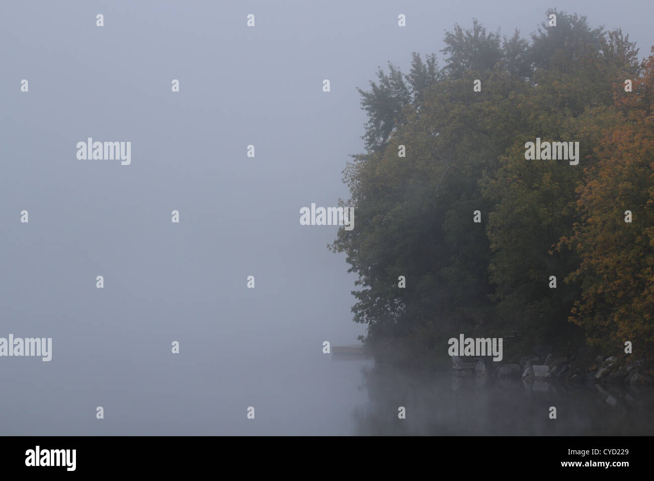 Fog on the lakes edge Stock Photo