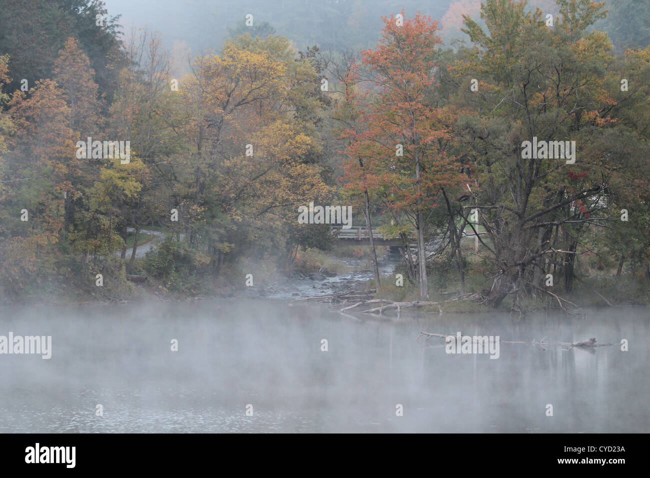 Fog on a lake in Autumn Stock Photo