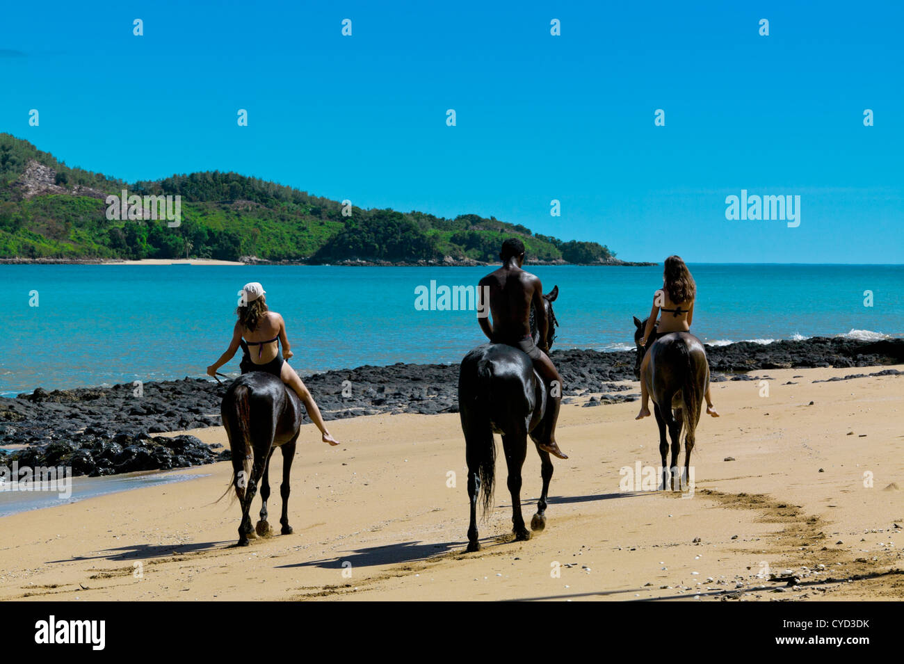 Riding Horses, Nosy Be, Madagascar Stock Photo
