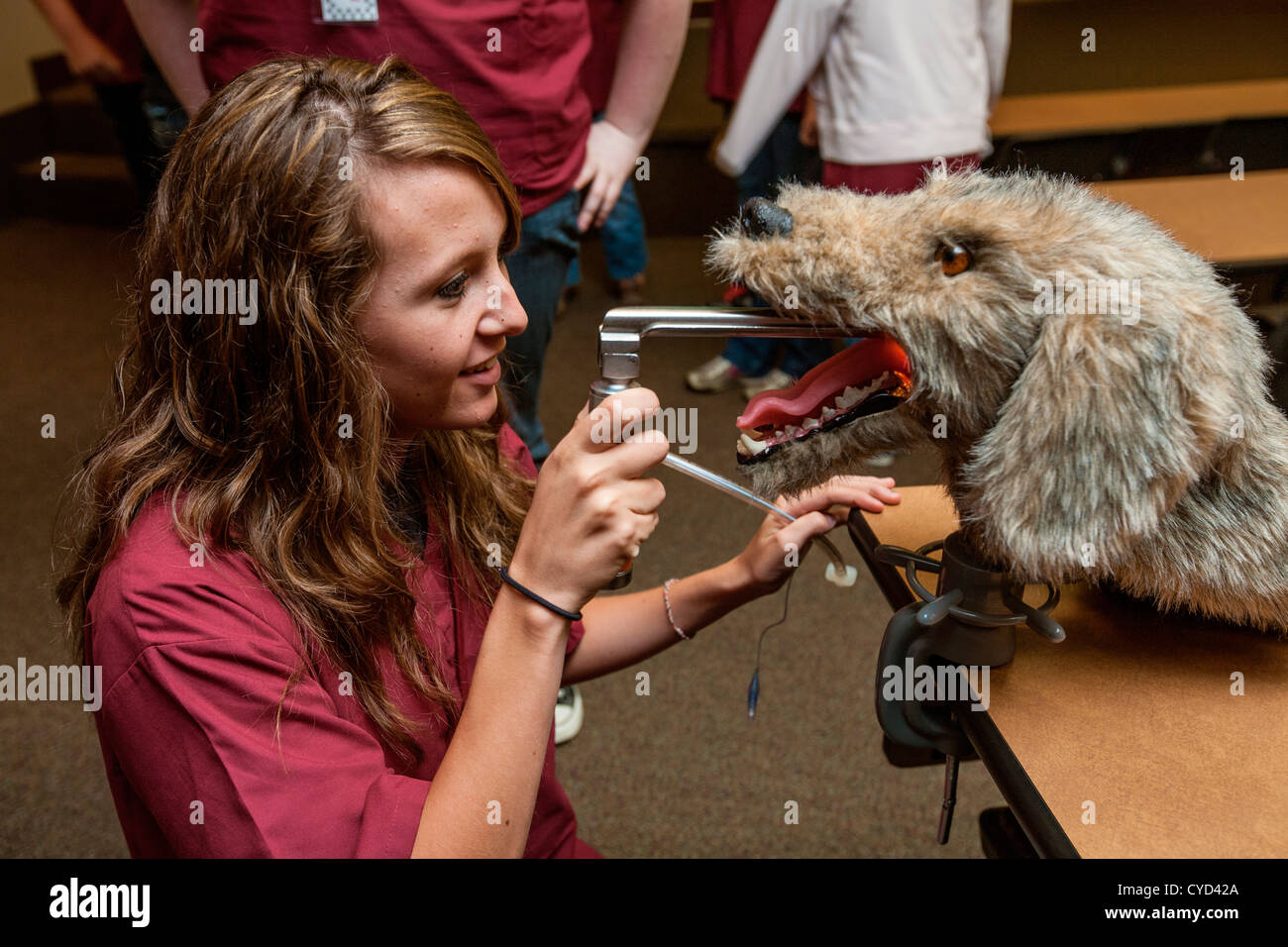 A student checks out a dummy dog at a vetinerary camp in Mississippi