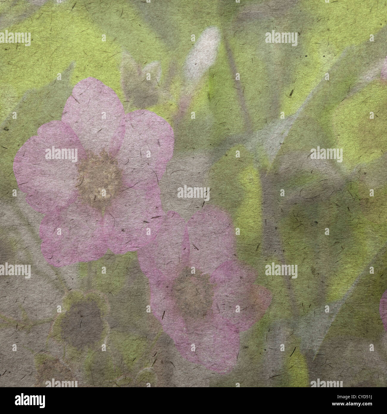 vintage wallpaper background with pink flower Stock Photo - Alamy