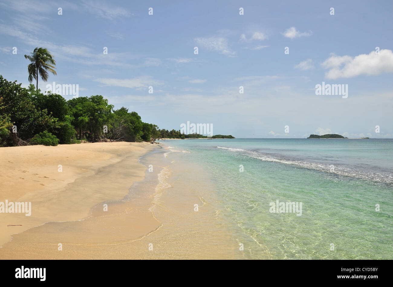Blue sky view, tropical sea sand beach, palm trees shoreline