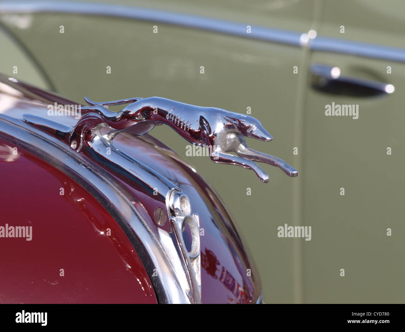The Classic Greyhound hood ornament from a 1930s Ford V8 Stock Photo