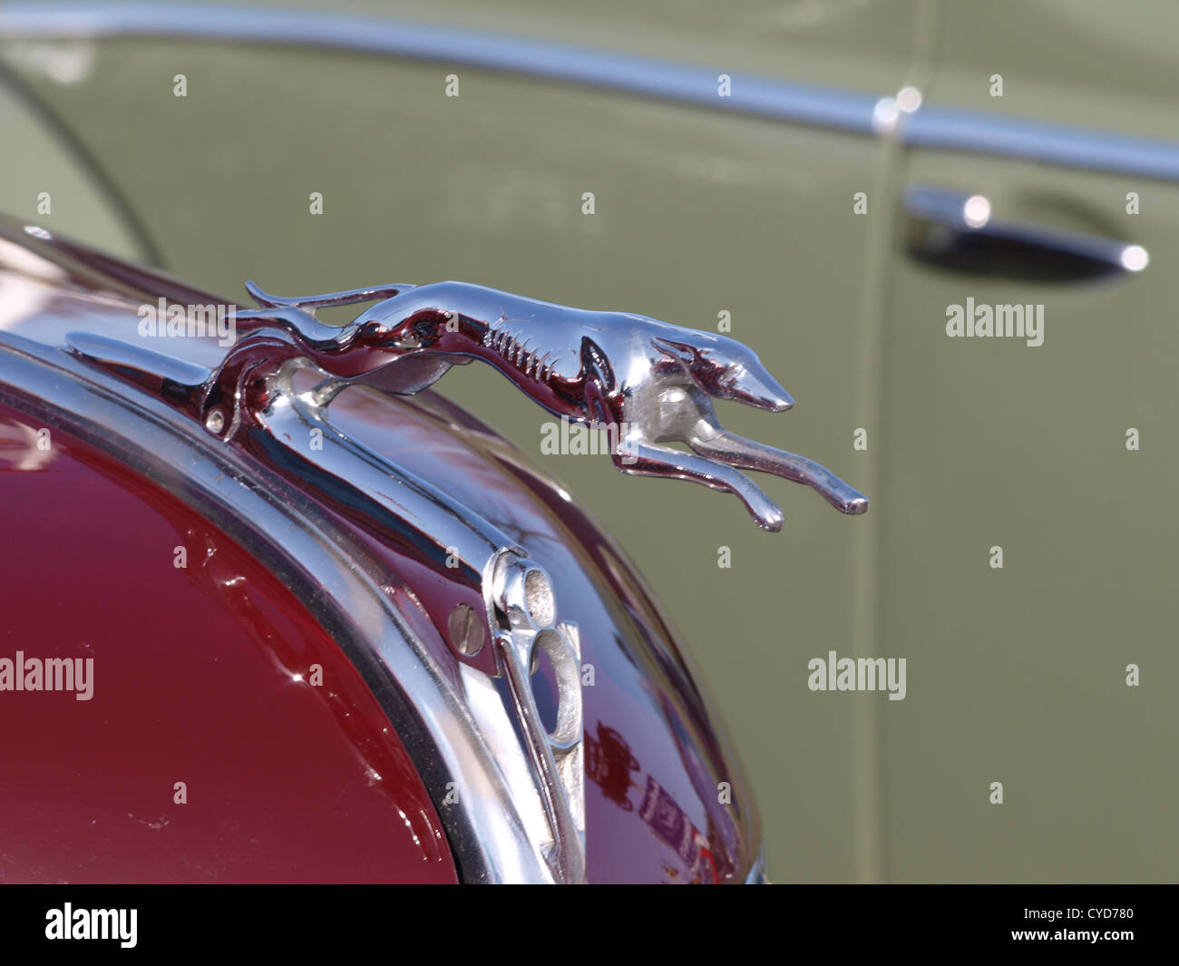 The Classic Greyhound hood ornament from a 1930s Ford V8 Stock Photo - Alamy