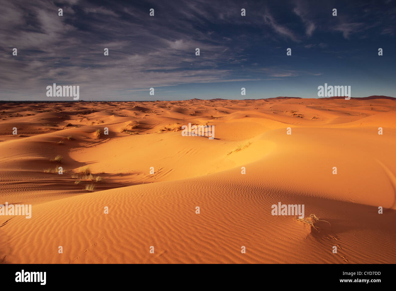 Sand dunes near Merzouga, Morocco Stock Photo - Alamy