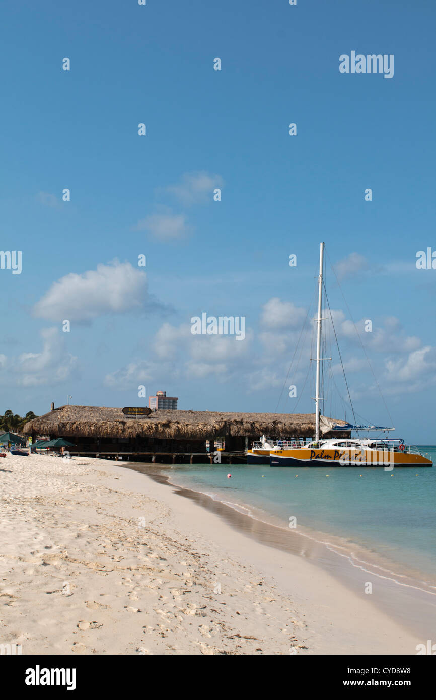 palm pleasure catamaran aruba