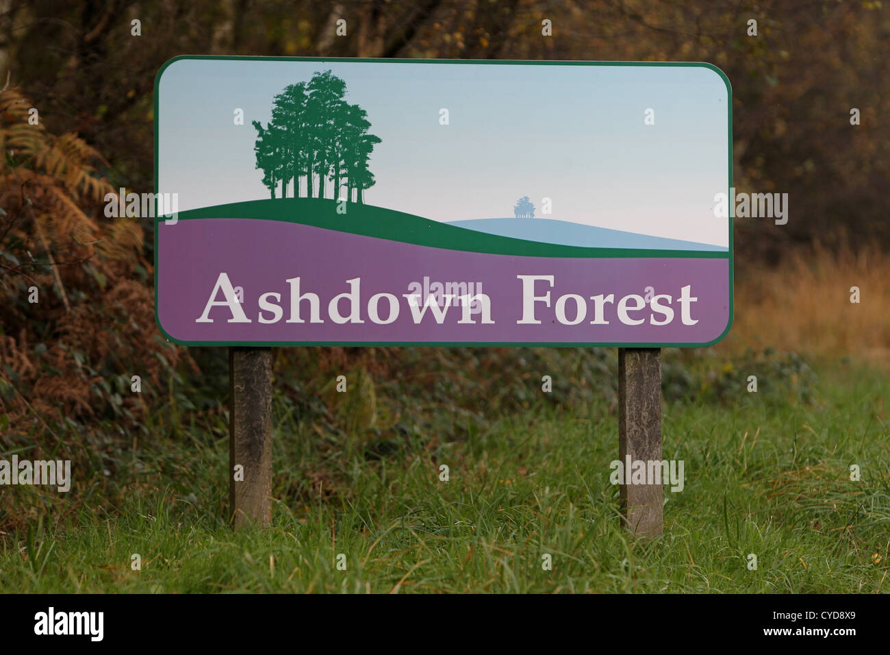 General views of Ashdown Forest, Sussex, UK. Stock Photo