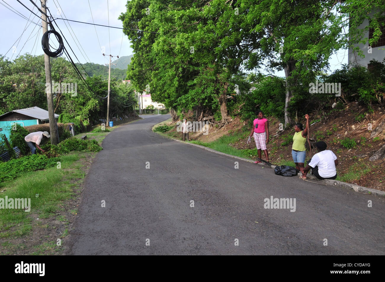 Morning sun view West Indian men women weeding, cleaning green road verges, Belair Road at Hillsborough, Carriacou, West Indies Stock Photo
