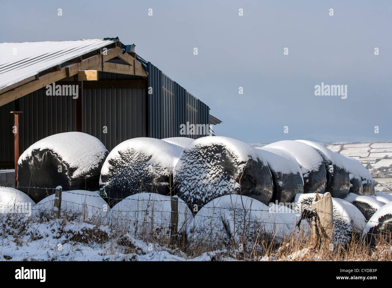 Bales of hay in the snow on a Welsh farm during winter Hay covered with black plastic wrap/ Stock Photo