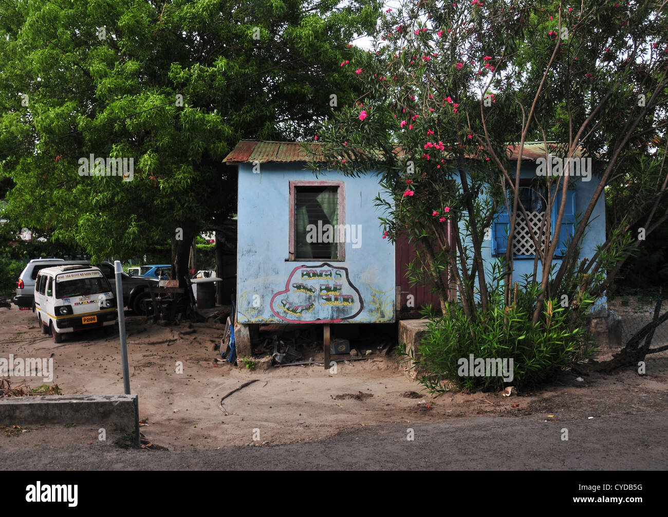 Pink flowers tree, cars parked earth yard, small house 'Bonga's Blue Studio', Belair Road, Hillsborough, Carriacou, West Indies Stock Photo
