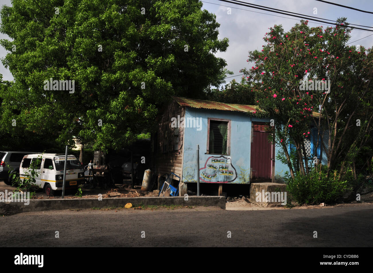 Cars parked yard, small wood house 'Bonga's Blue Studio', pink flowers tree, Belair Road, Hillsborough, Carriacou, West Indies Stock Photo