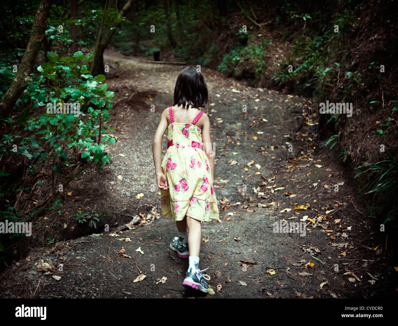 Girl strides up hill on woodland path. Stock Photo