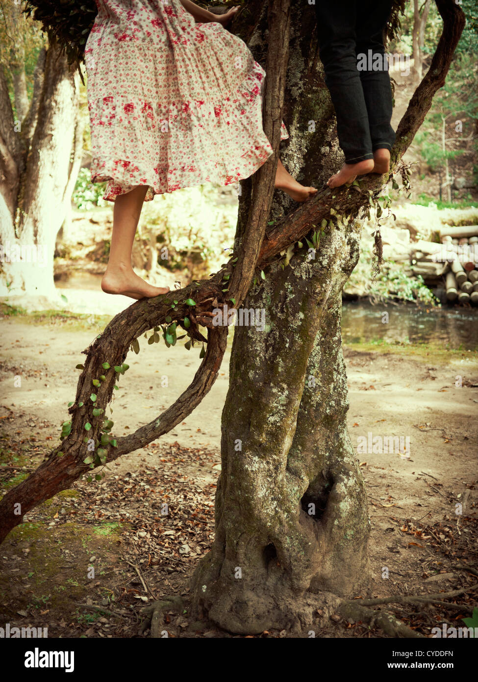 Girl and boy climb tree Stock Photo