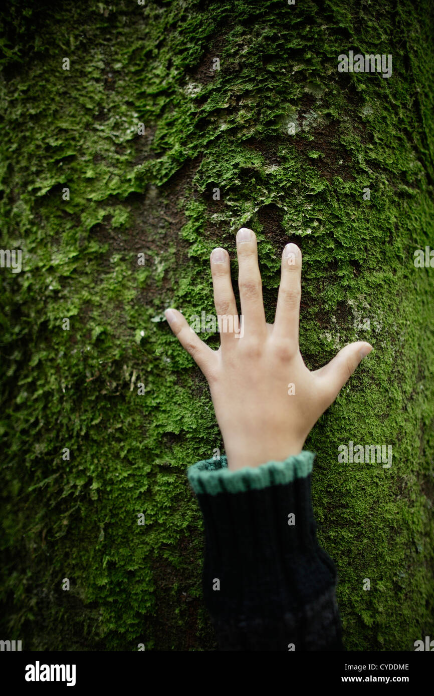 Boy's hand on tree trunk covered with moss and lichen Stock Photo