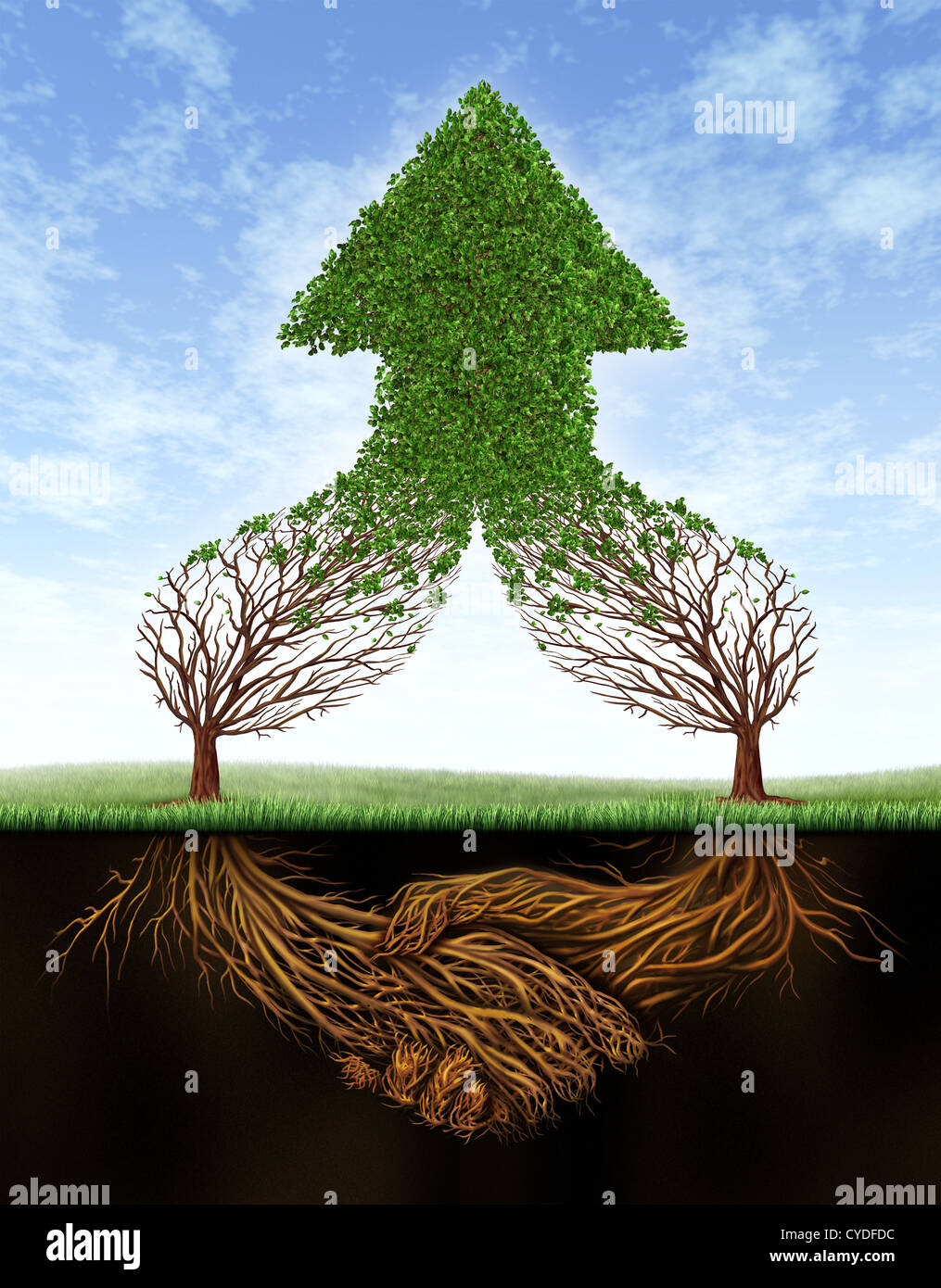 Business deal growth and team partnership with the roots of two trees in the shape of a human hand shake and the empty branches Stock Photo