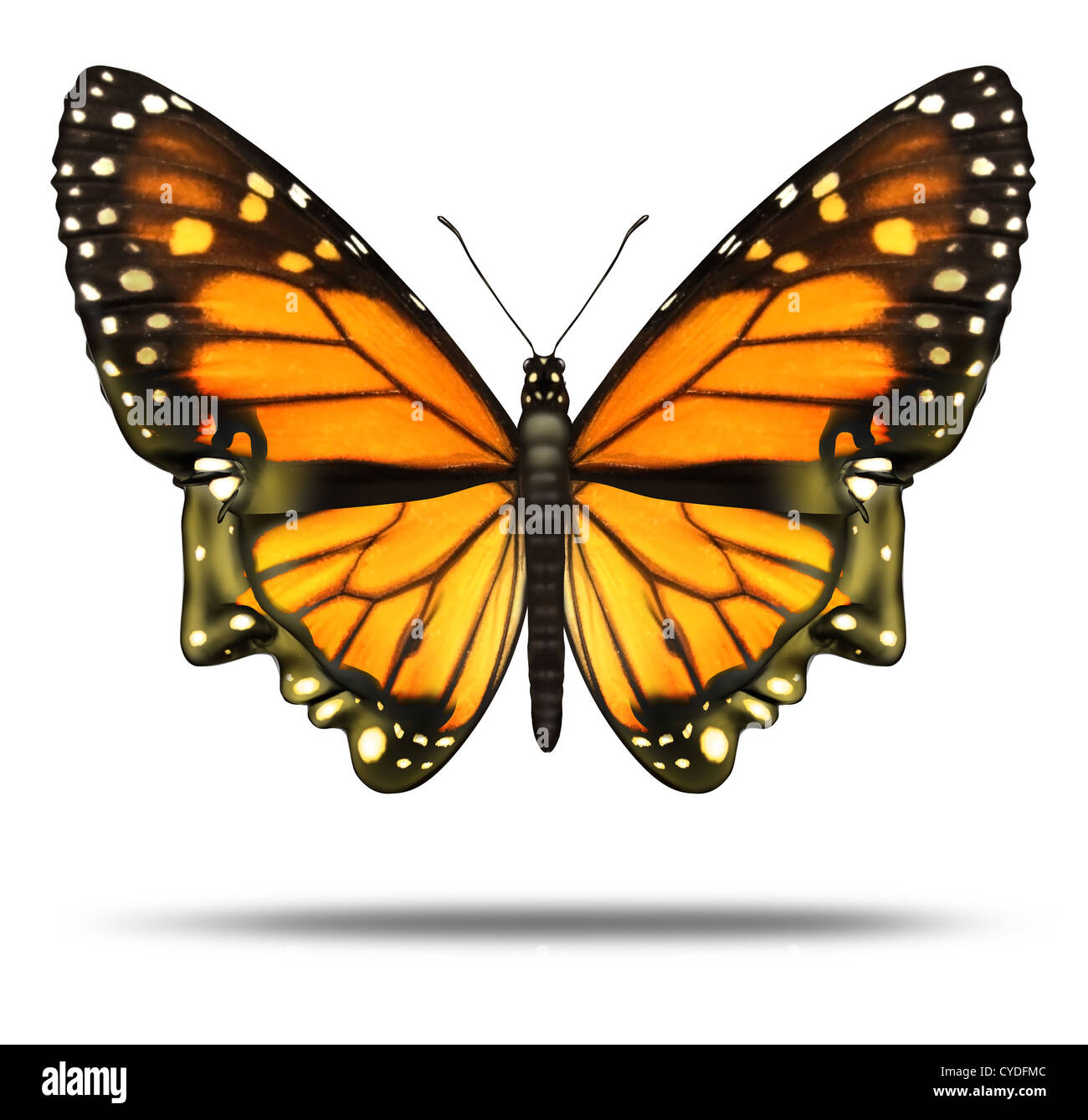 Free your mind and freedom to explore the opportunities of life and personal achievement as a Monarch butterfly in the shape of Stock Photo