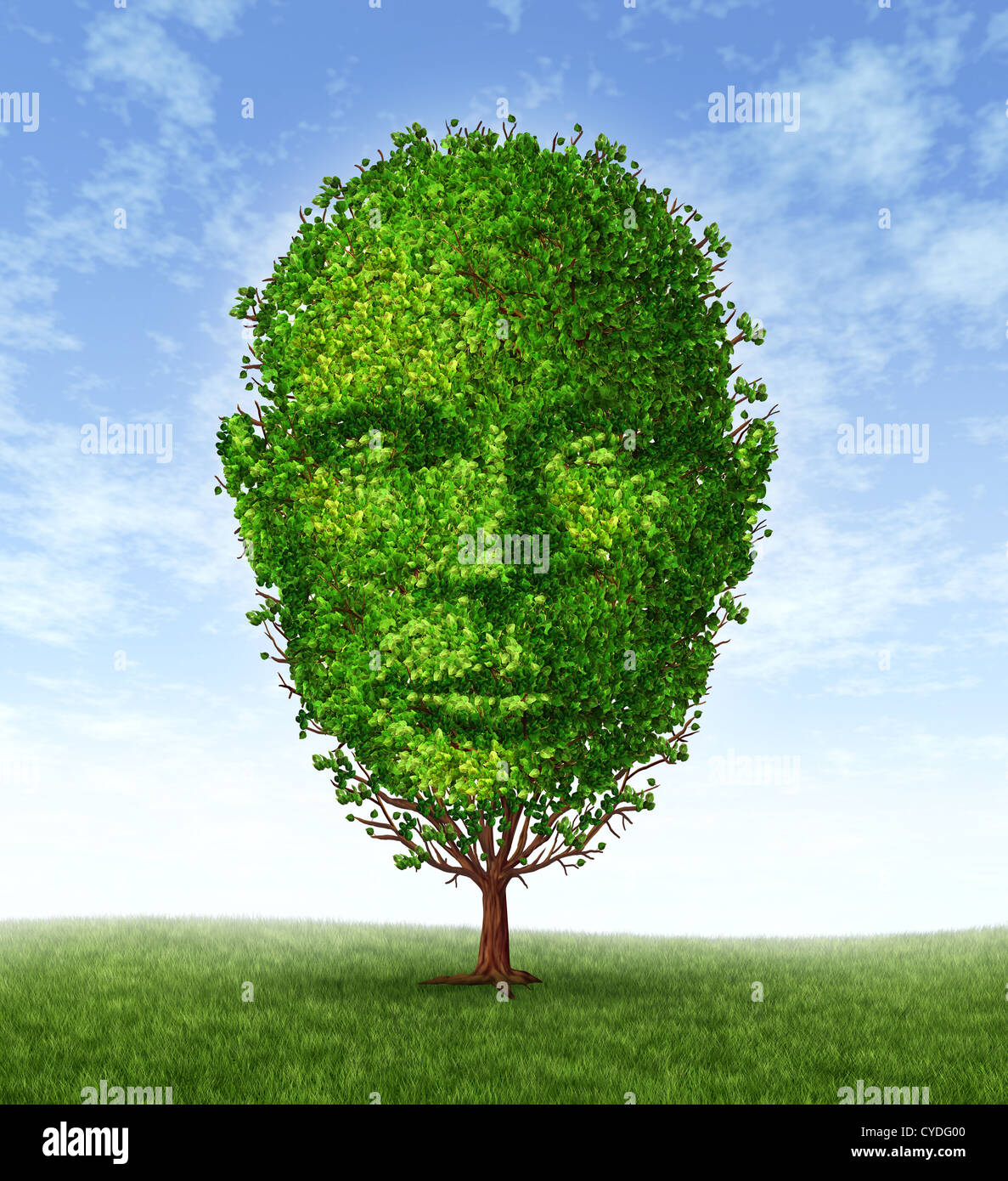 Personal development and personality growth as a medical symbol of psychology as a tree in the shape of a front facing human head as intelligence and social thinking for mental behavior health. Stock Photo