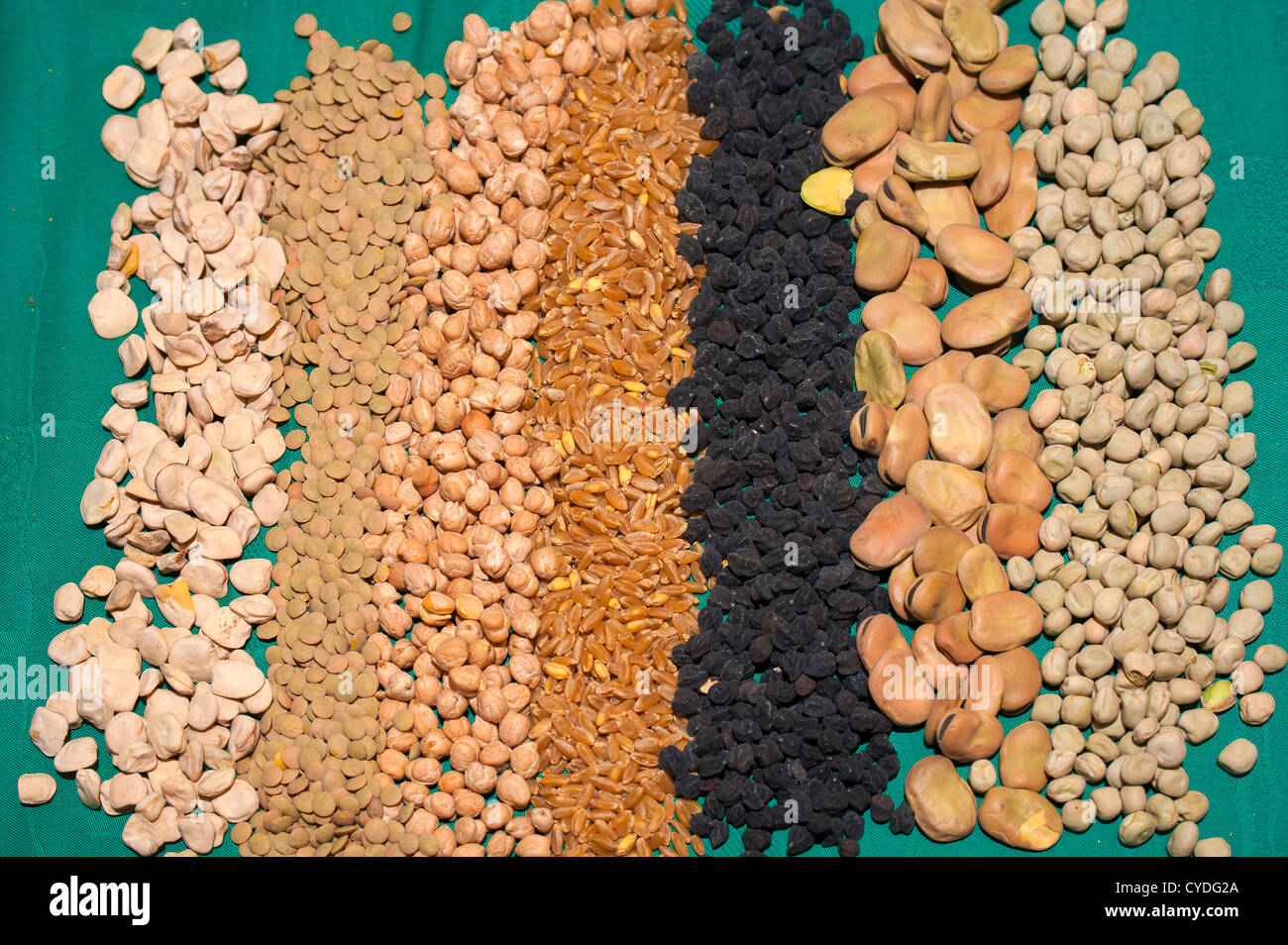 Apulia edible leather hires stock photography and images Alamy