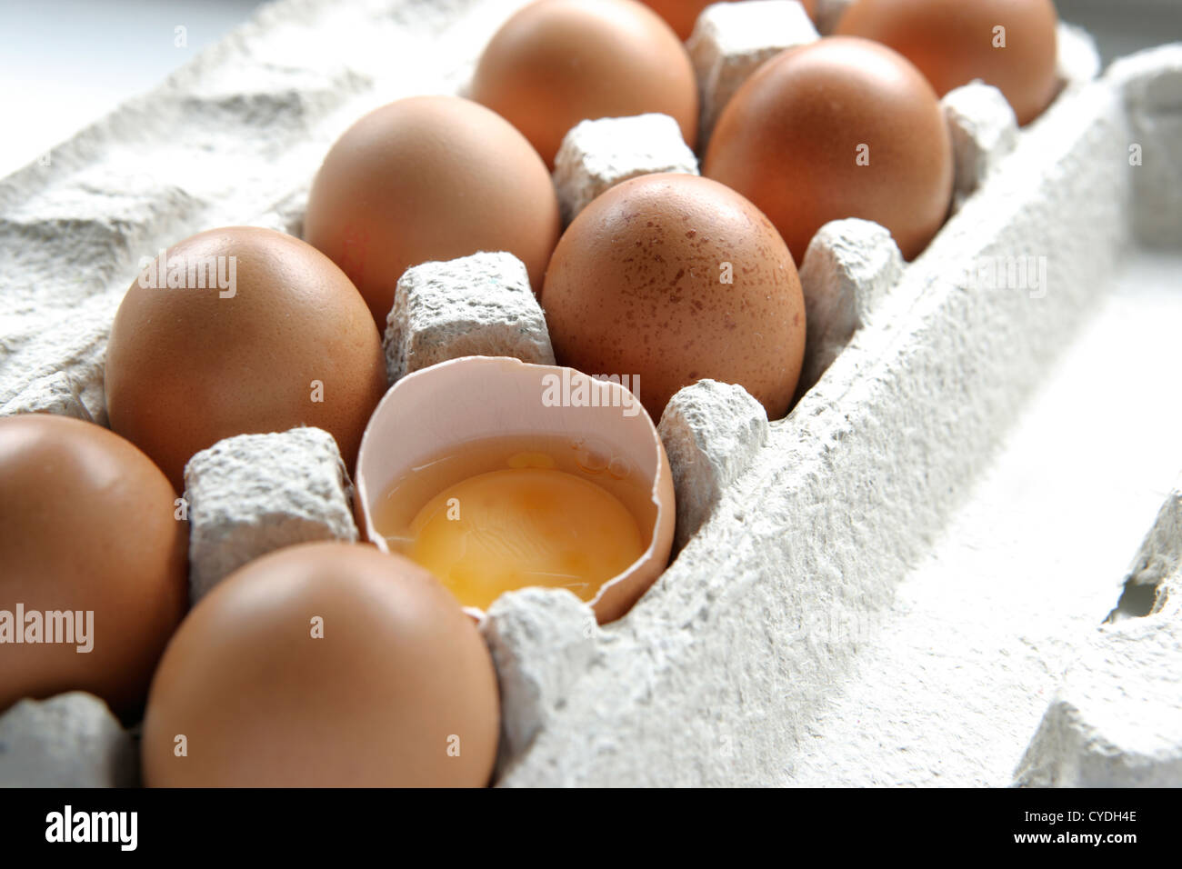 Egg carton with eggs Stock Photo