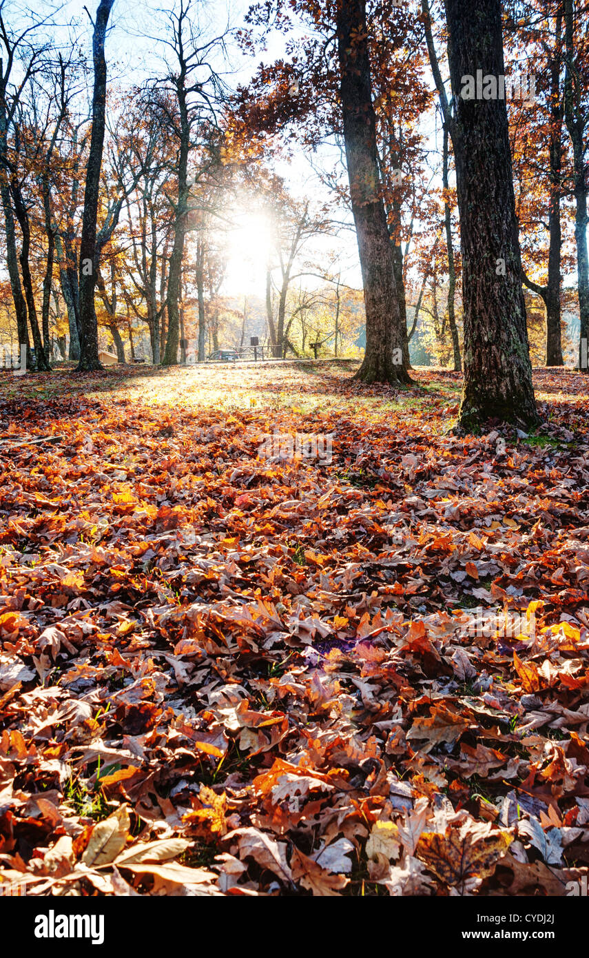 Fall in North Carolina Stock Photo