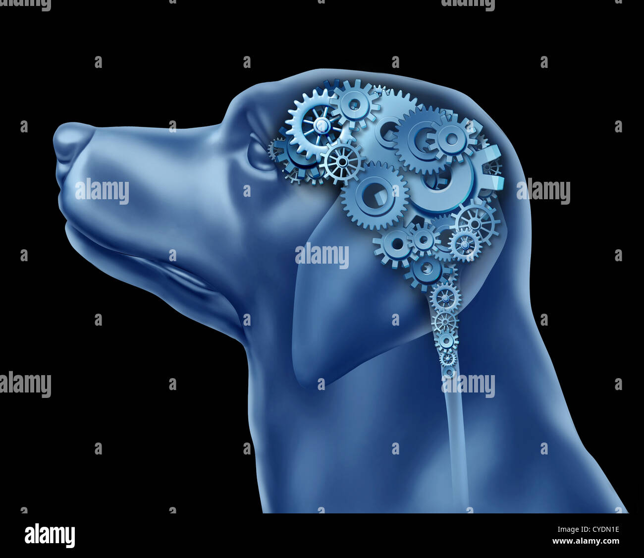 Dog intelligence and training animal symbol for pet mental health care as a concept with a canine side view of the head with gears and cogs in the shape of a brain as an icon of veterinary services. Stock Photo