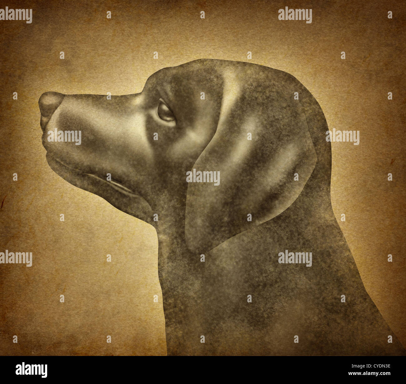 Grunge Dog on an old parchment paper texture as a symbol of veterinary canine health care for house pets and veterinarian services or training of mixed breed and a purebred puppy. Stock Photo