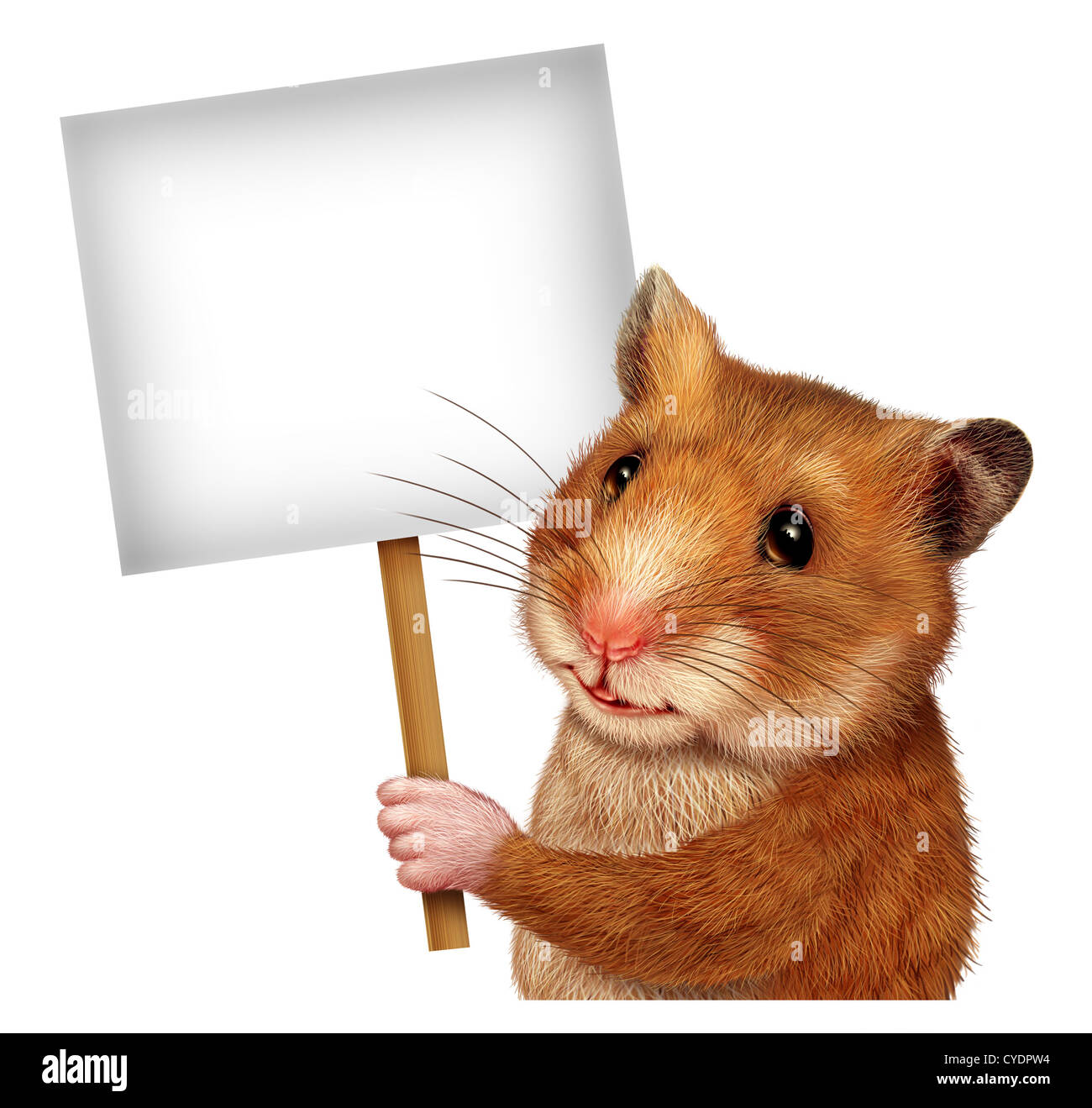 Pet hamster holding a blank white sign on a stick as an advertising and marketing concept with a cute mouse like mammal with a smile communicating an important Veterinary or Veterinarian related message. Stock Photo