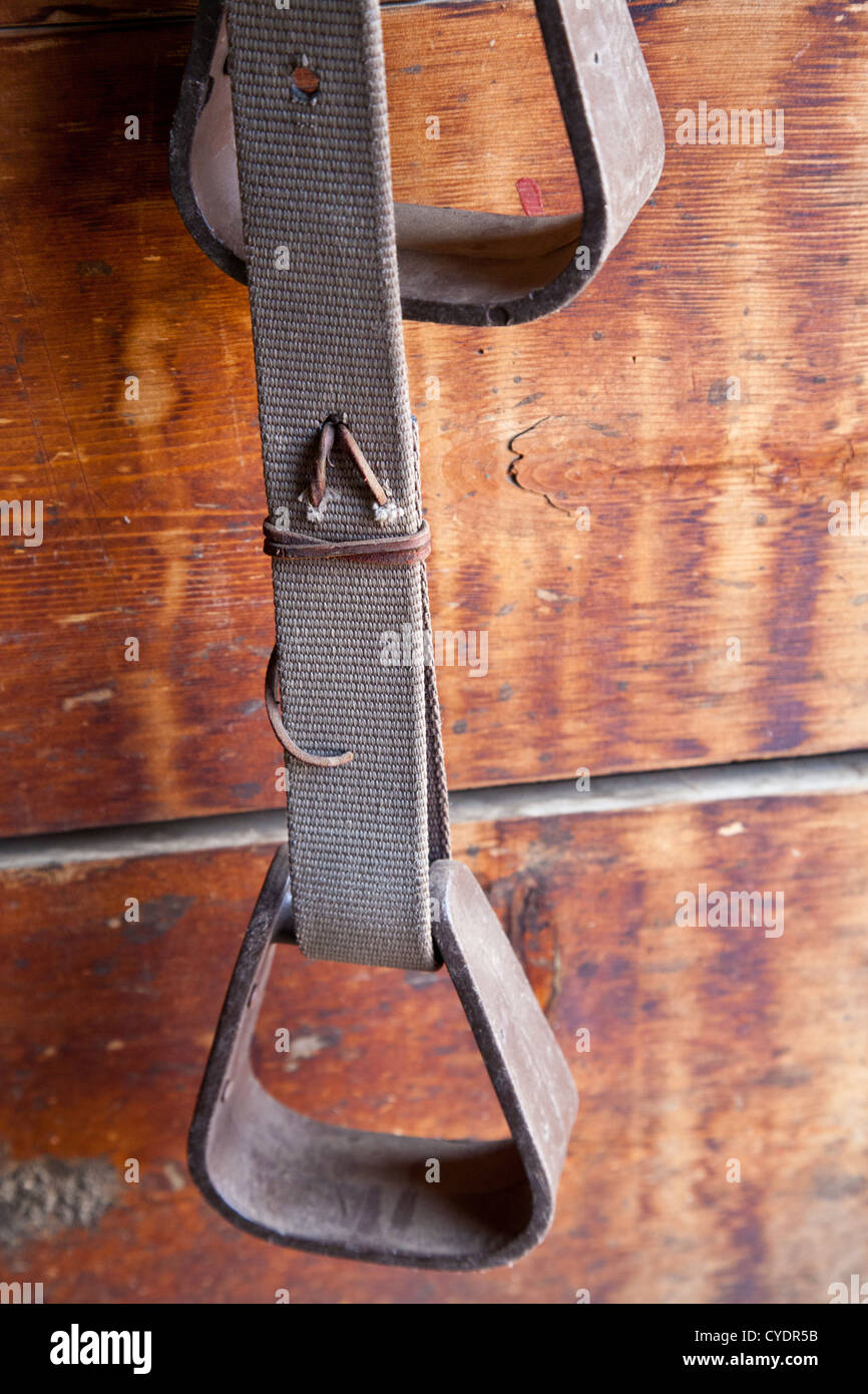 Stirrups hang from a textured wood wall Stock Photo Alamy
