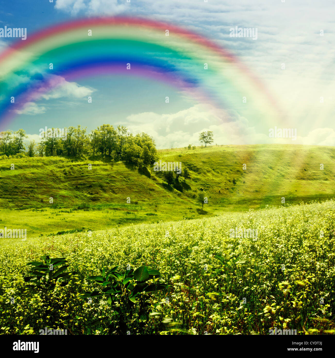 Rainbow on the meadow. Abstract natural backgrounds for your design Stock  Photo - Alamy