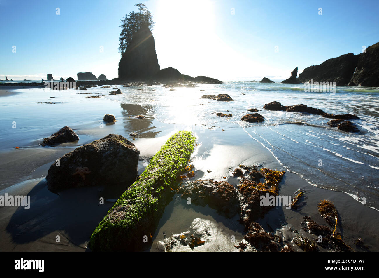 Beach beach beach beach scenery hi-res stock photography and images - Alamy