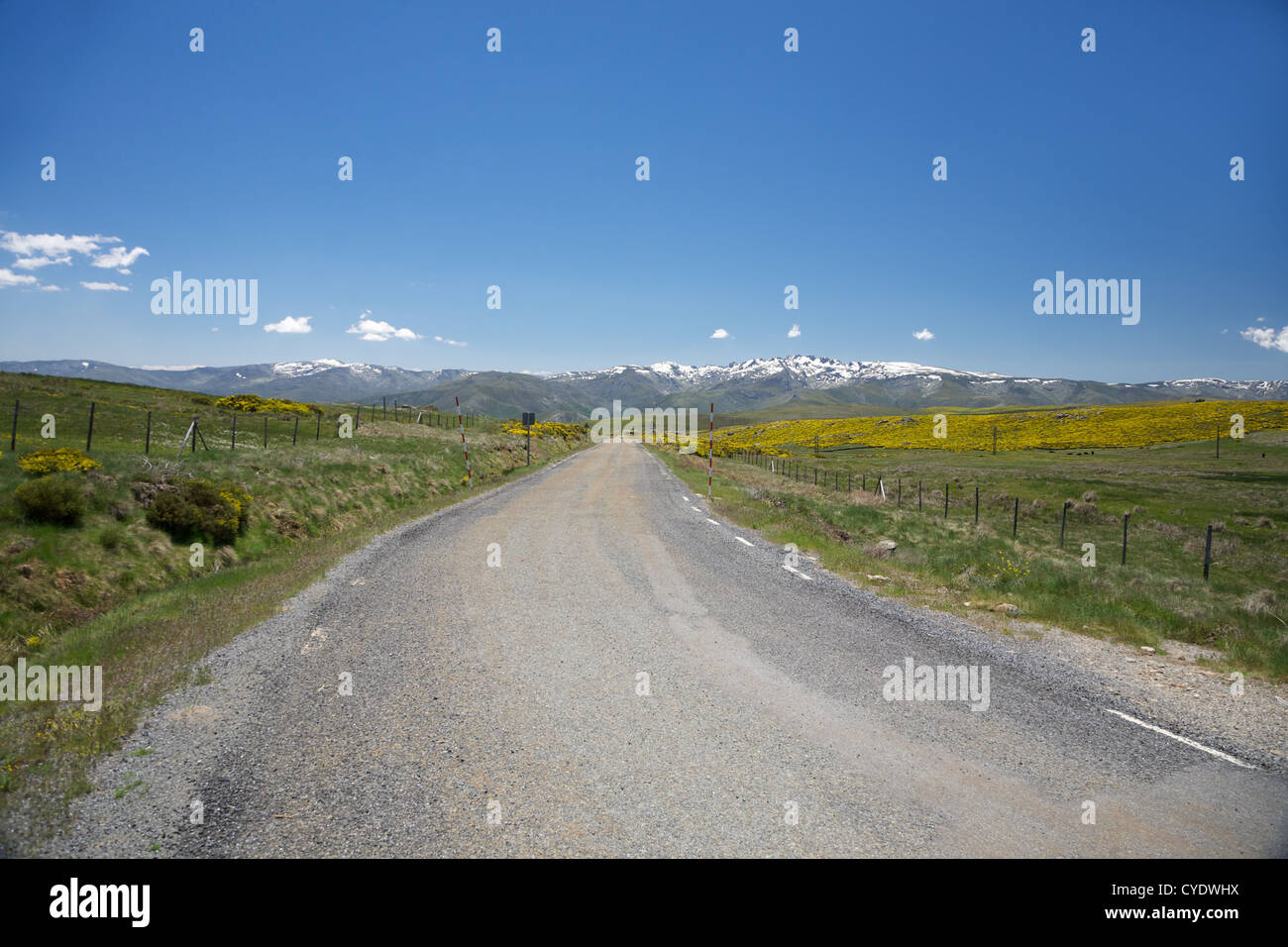 rural road at Gredos mountains in Avila Spain Stock Photo - Alamy