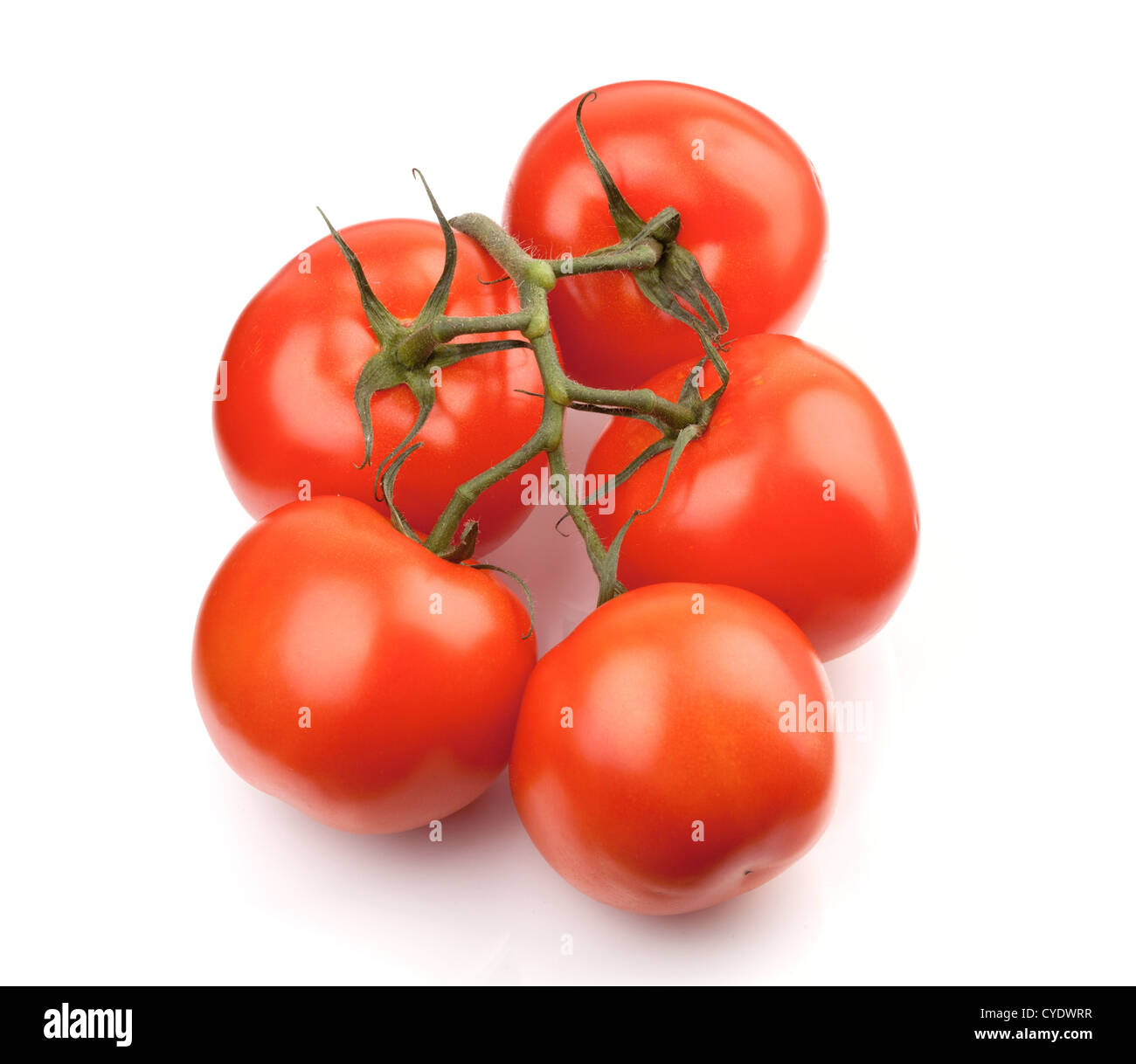 Branch of fresh tomatoes. Isolated on white background Stock Photo