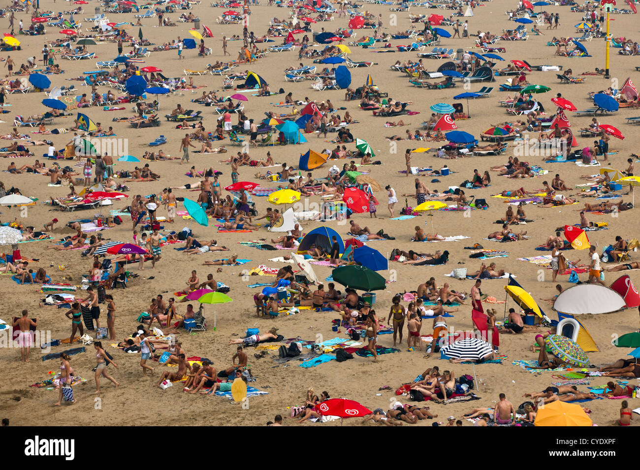 The Netherlands, Scheveningen, near The Hague or in Dutch: Den Haag. People sunbathing on the beach. Summertime. Aerial Stock Photo