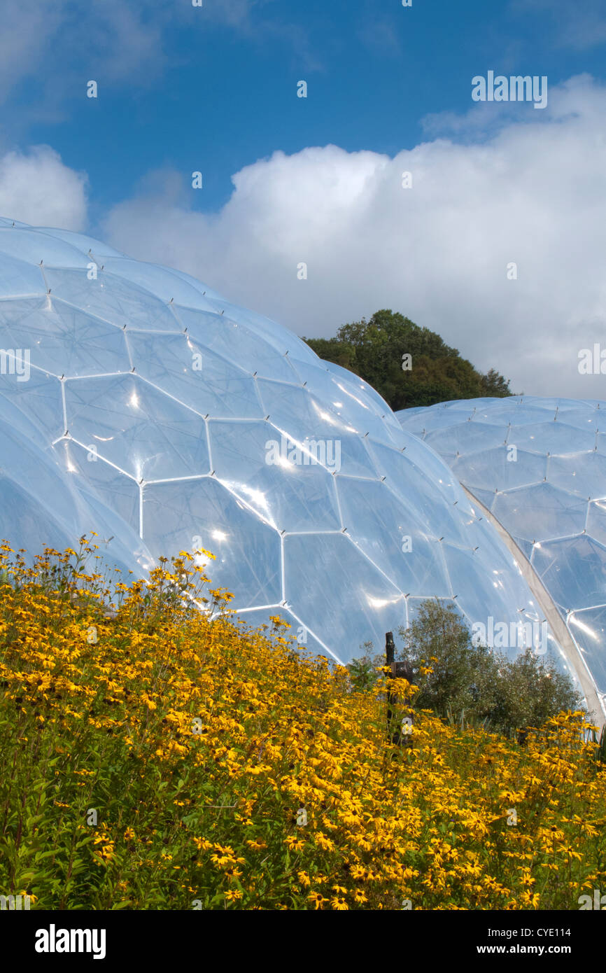 Exterior of Eden projects main glass house buildings with summer flower
