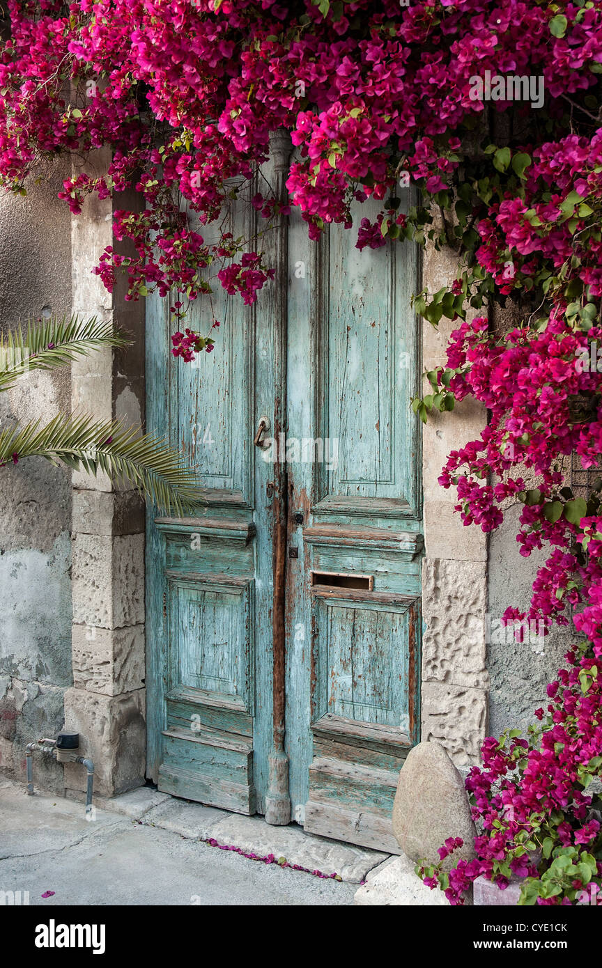 Old wooden door with bougainvillea in Cyprus Stock Photo - Alamy