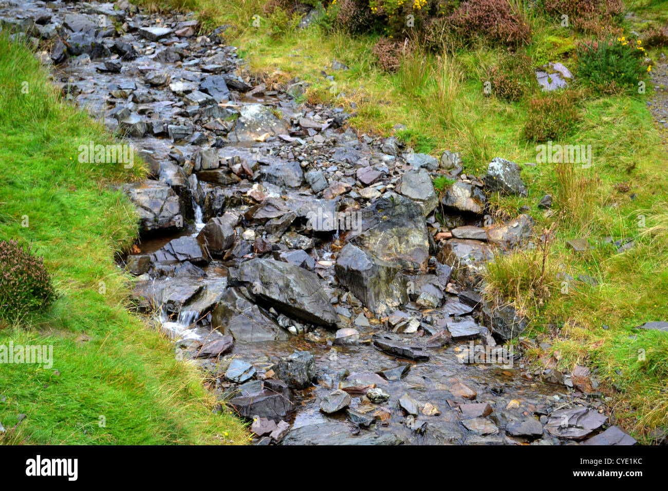 Carding Mill Valley Stream Stock Photo Alamy
