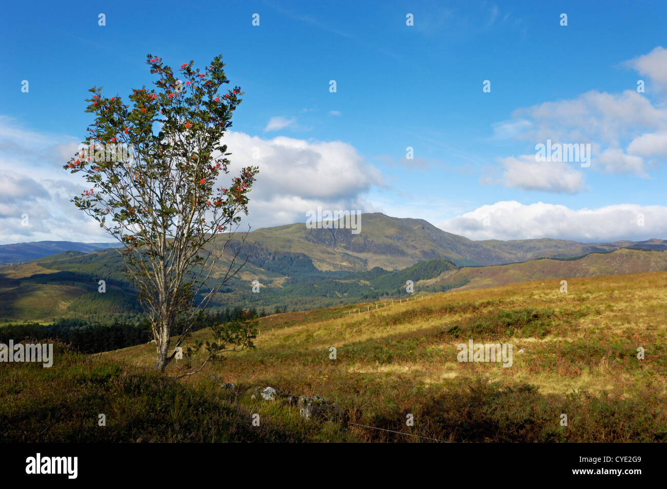 Ben Ledi, from Callander Crags, Callander, Loch Lomond and Trossachs National Park, Stirling, Scotland Stock Photo