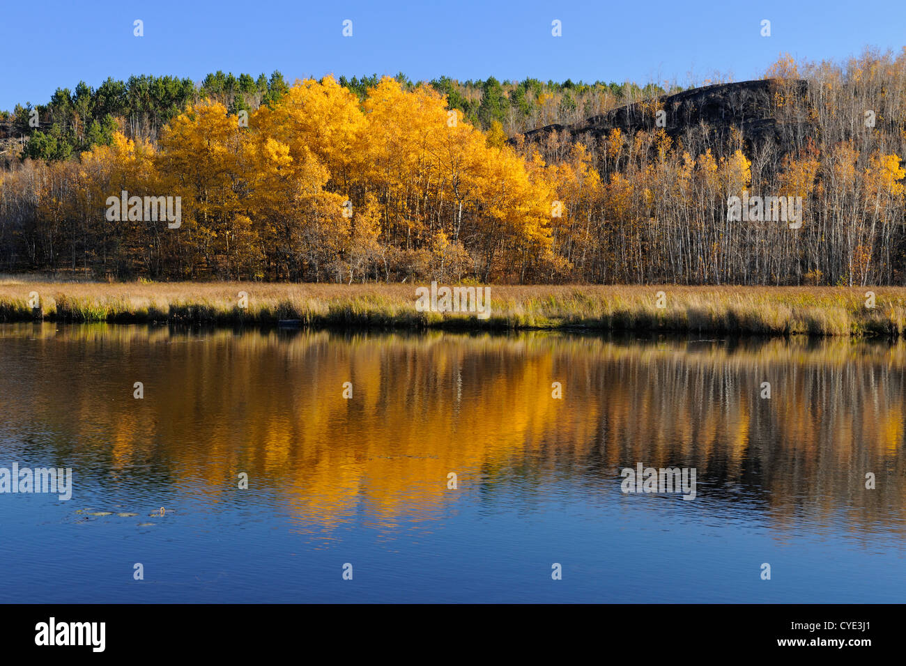 Robinsong Ontario Canada Autumn reflections in Robinson Lake, Greater Sudbury, Ontario, Canada
