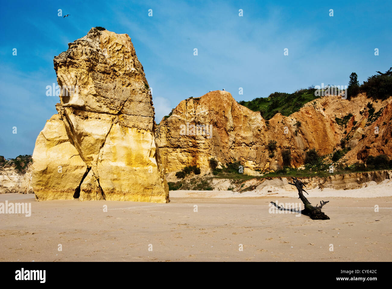 Praia da Rocha's beach area on the Atlantic Ocean in Algarve, southern Portugal Stock Photo