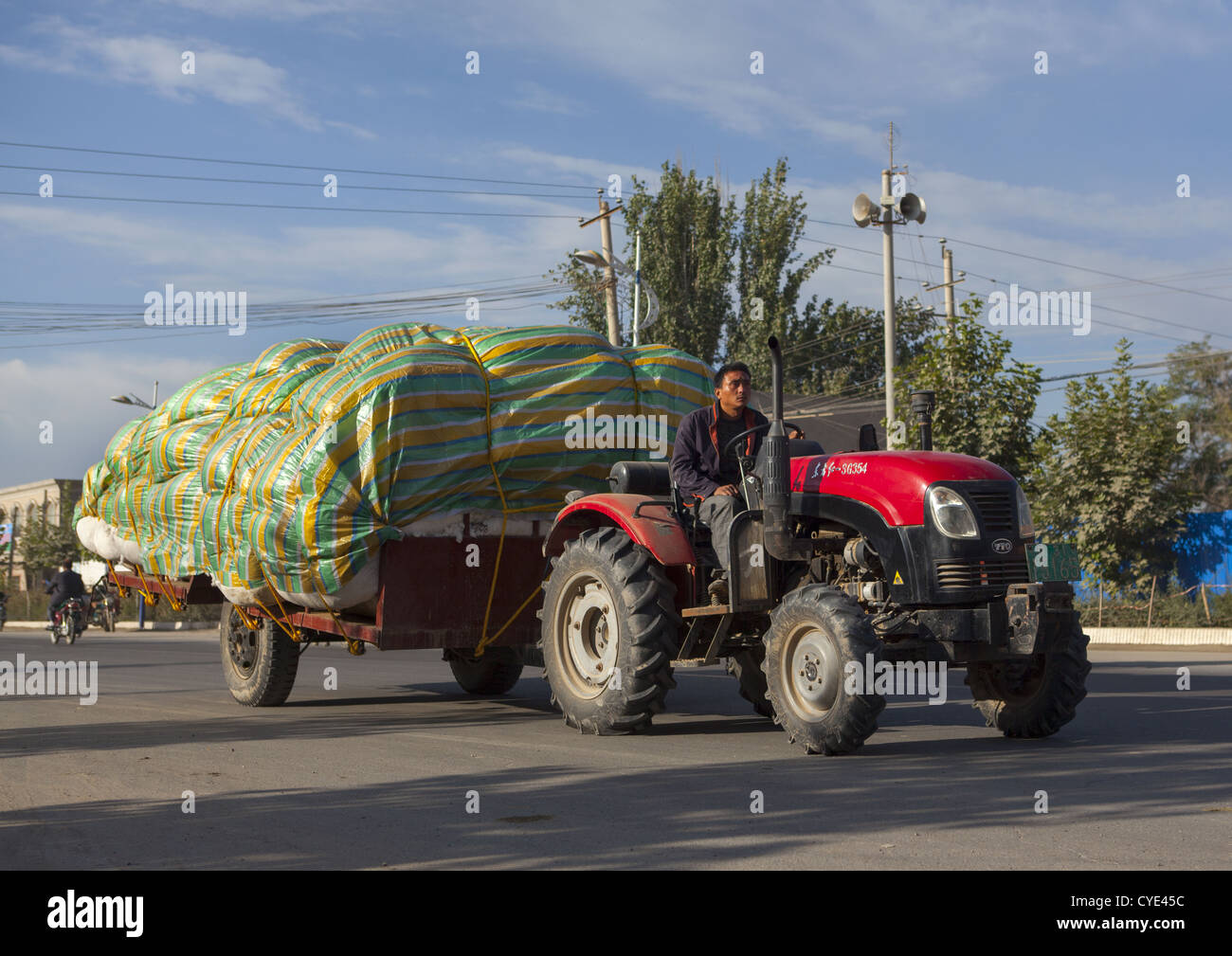 Uyghur Man Transporting Cotton, Yarkand, Serik Buya Market, Xinjiang