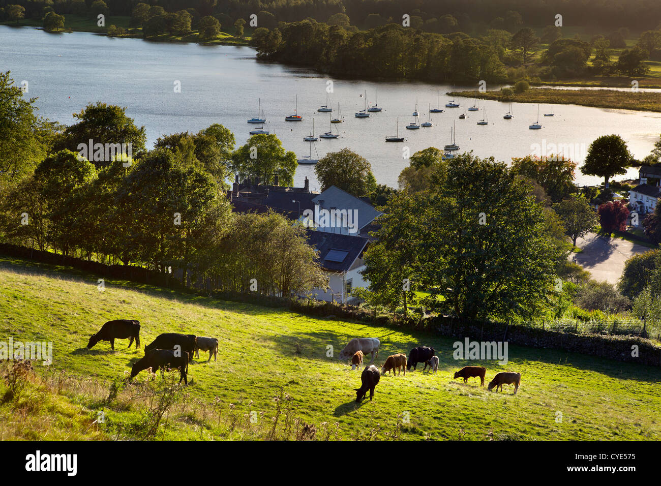 Lake Windermere in the Lake District, UK. (Ambleside.) Stock Photo