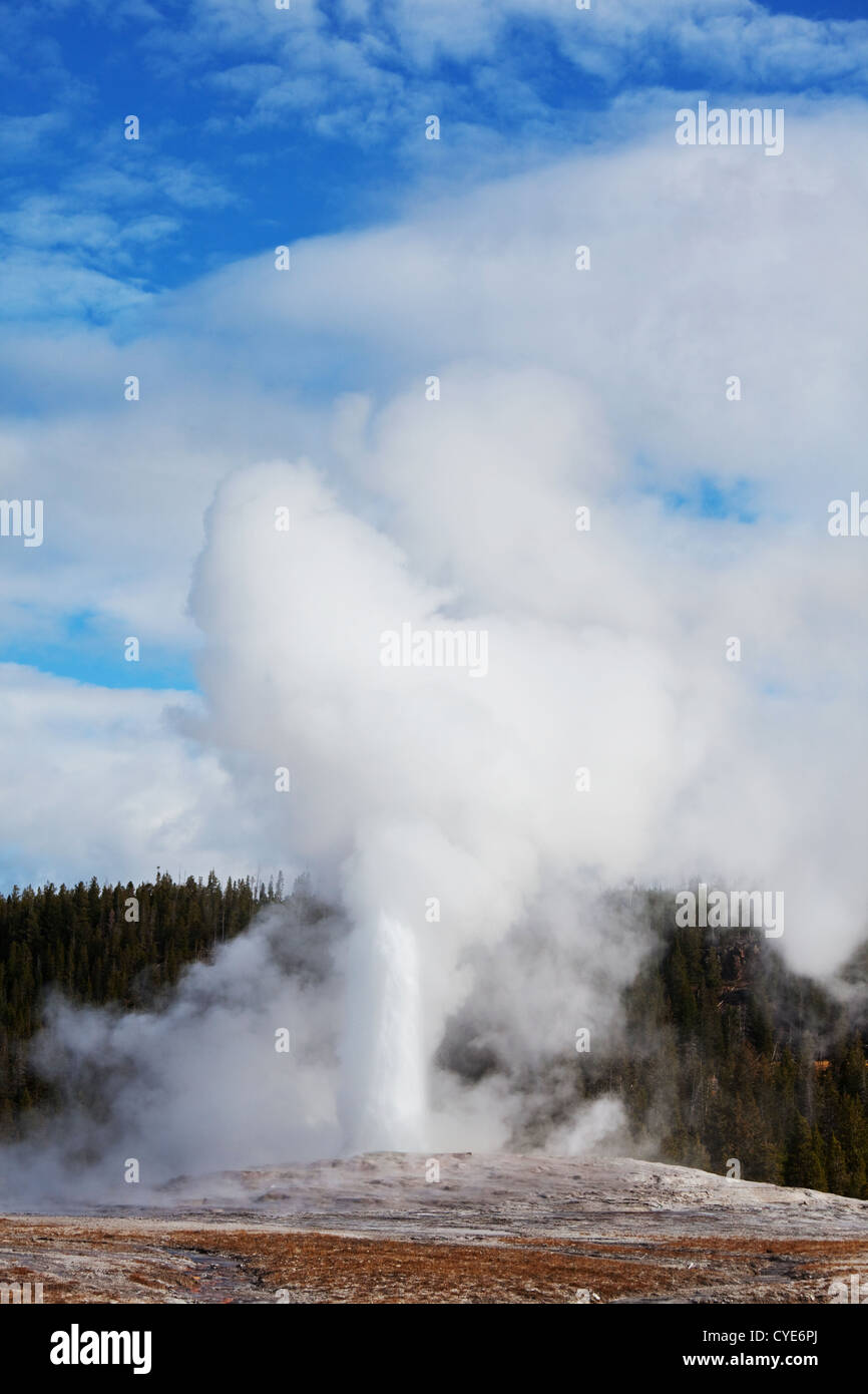 geyser in Yellowstone Stock Photo