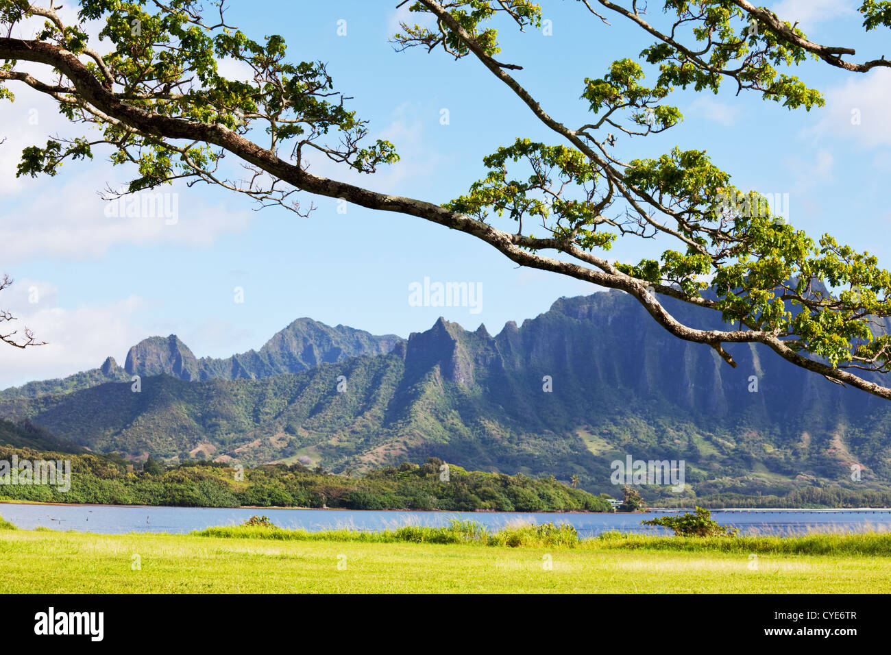 Oahu island hawaii hi-res stock photography and images - Alamy
