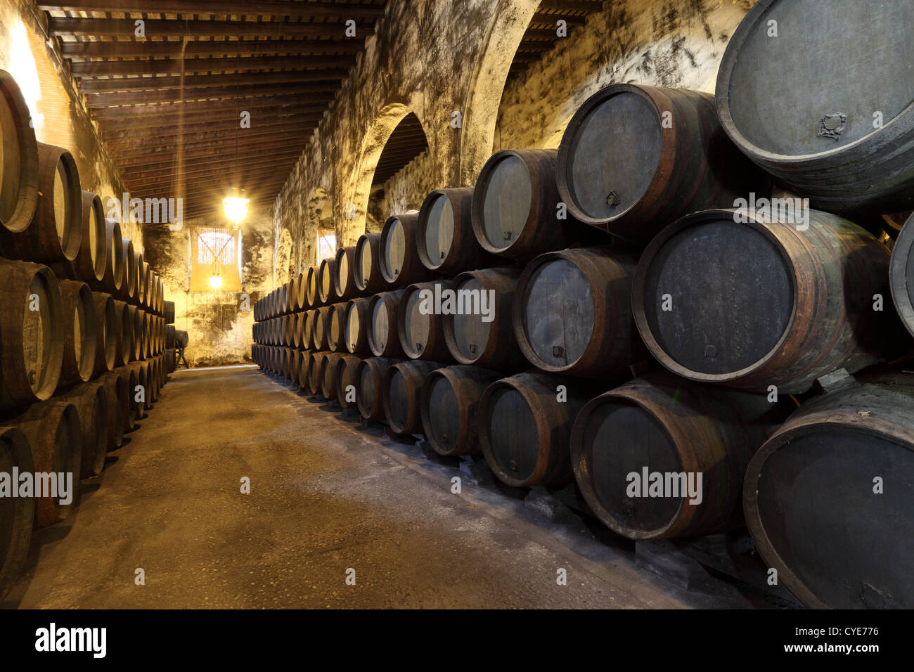 Old wine celler with wooden barrels Stock Photo