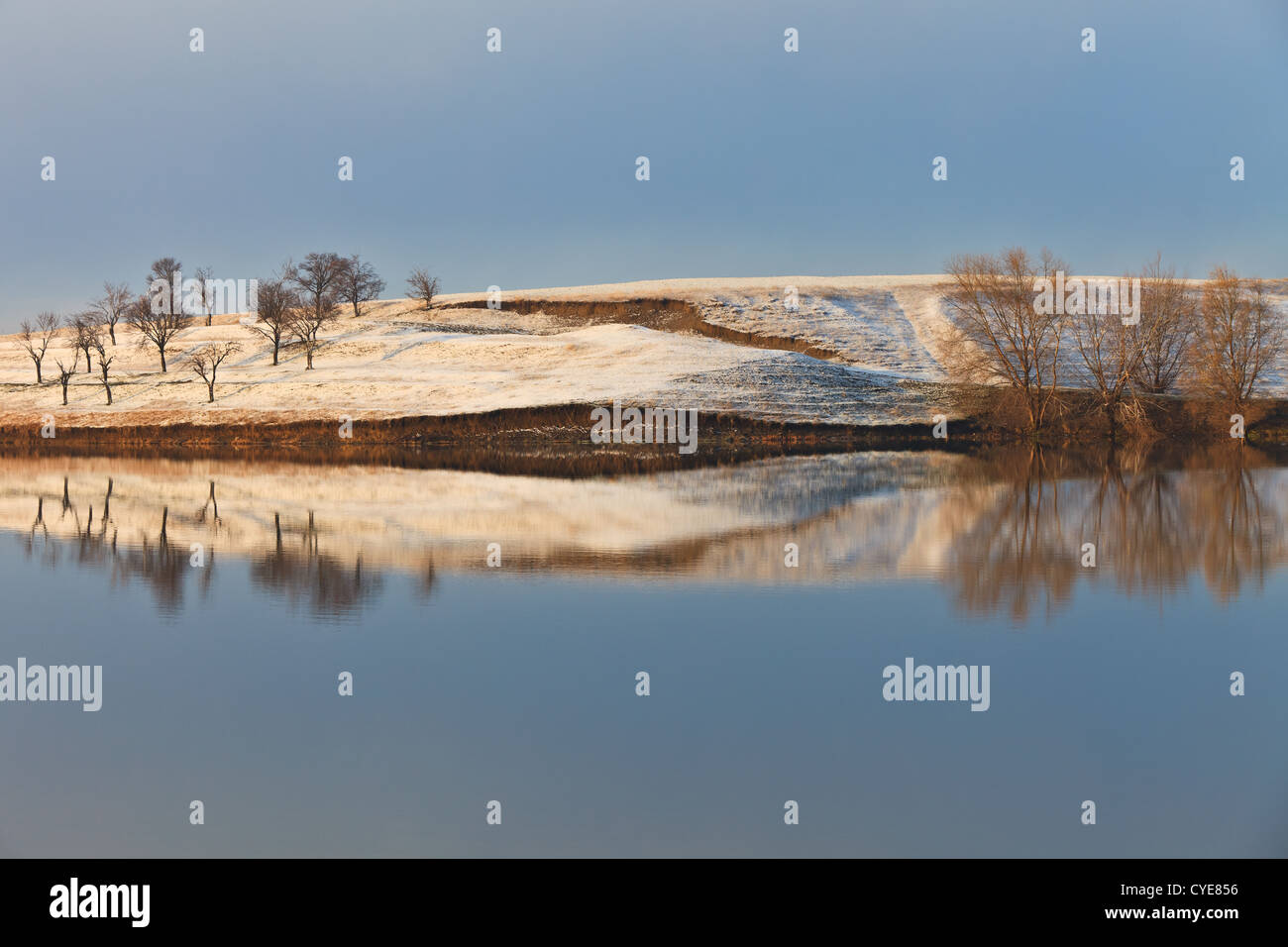 trees on the lake Stock Photo - Alamy