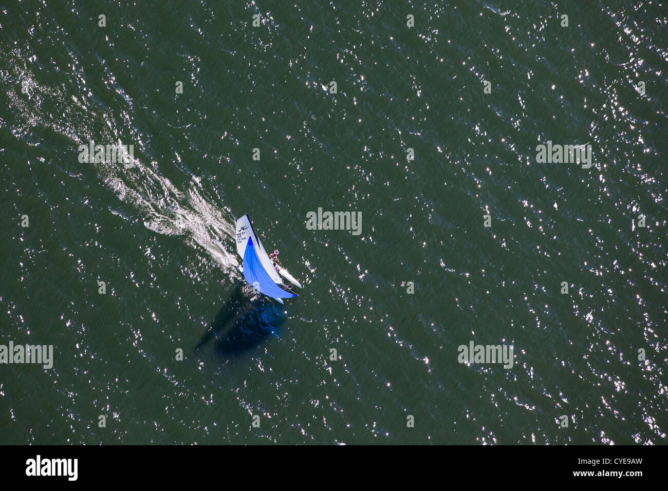 The Netherlands, Scheveningen, near The Hague or in Dutch: Den Haag. Catamaran sailor. Aerial. Stock Photo