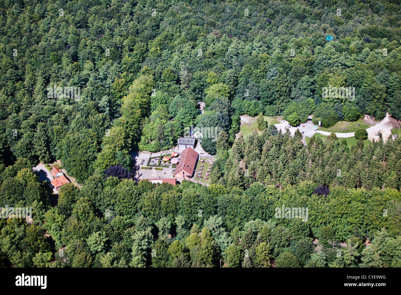 The Netherlands, Drouwen, Watchtower looking out over forest and outdoor center called Boomkroonpad. Aerial. Stock Photo